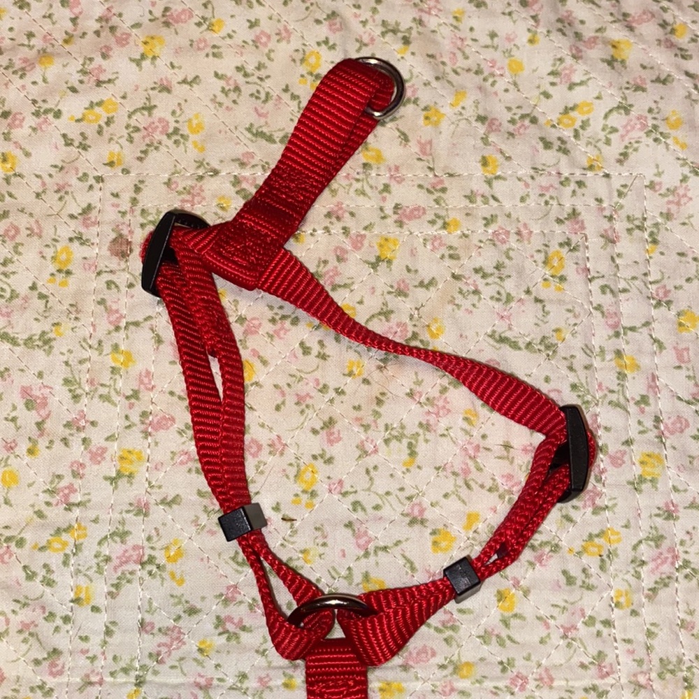 ❤️HP❤️Small Dog Harness NWOT - Picture 3 of 4